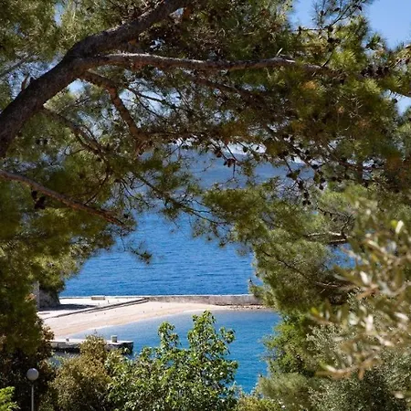 Sea House Pool & Jacuzzi, Bikes, Sup - Privilege Point & Ferienhaus Selce