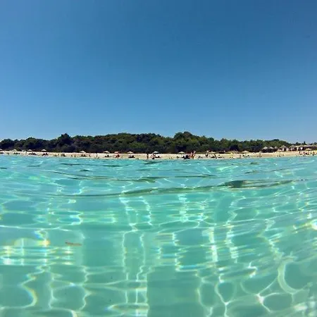 Hébergement de vacances Sea House Pool & Jacuzzi, Bikes, Sup - Privilege Point & Selce